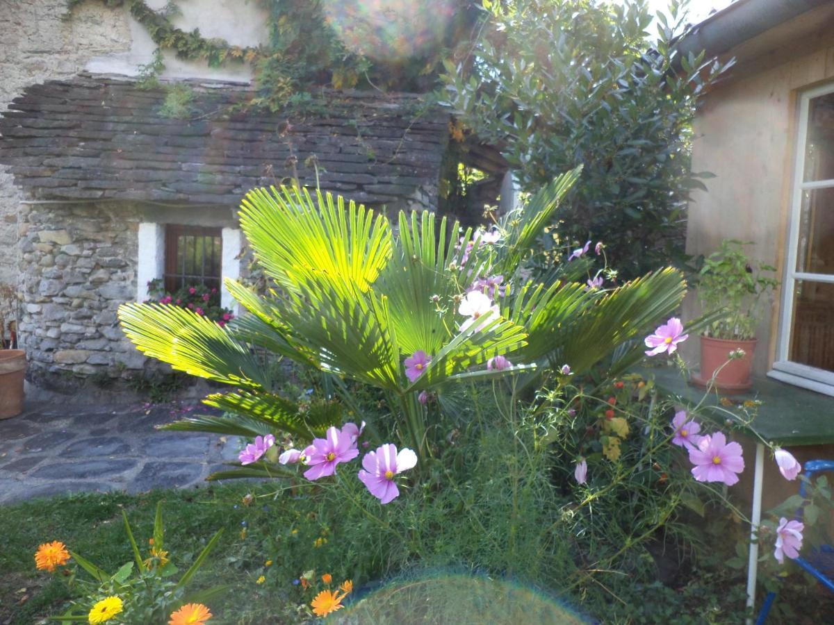 B&B Casa Codega Intragna Exteriér fotografie