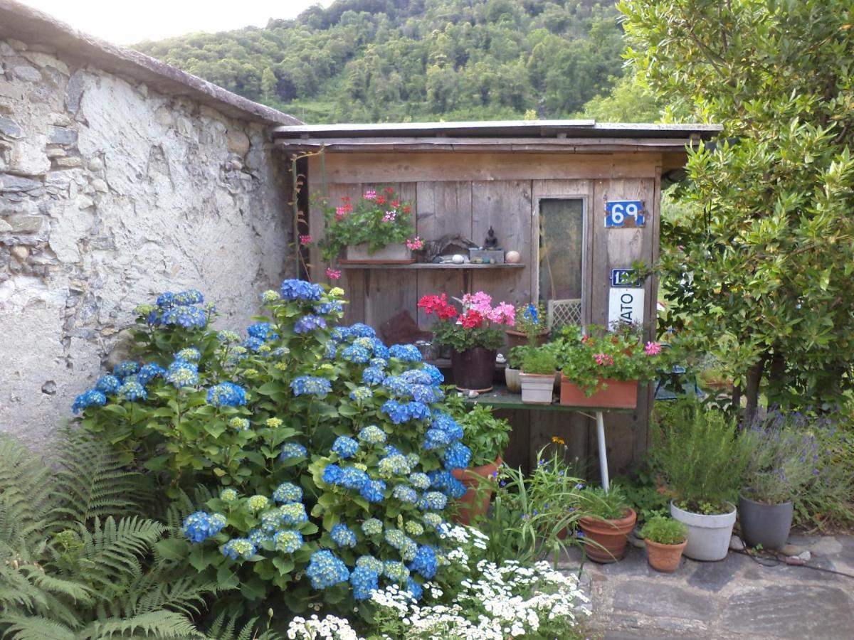 B&B Casa Codega Intragna Exteriér fotografie